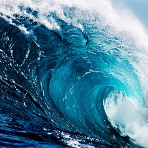 兆日科技：给我一个支点，助你撬动B端支付市场