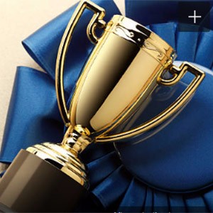 首 页新闻资讯银企通正文 兆日银企通获“金松奖”最佳金融科技创新奖