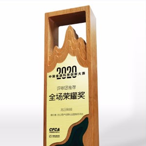 厉害了！兆日科技荣获2020中国金融科技创新大赛最TOP“全场荣耀奖”